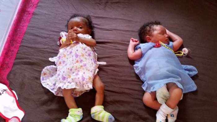 51783088_2010322729046284_5652781448118140928_n